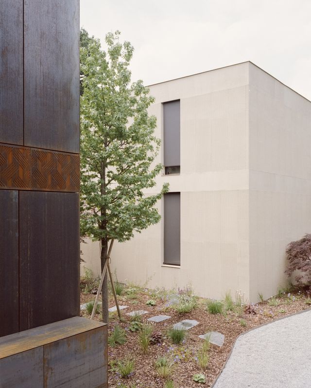 GIG - Rondinella – SIMONE BOSSI ©